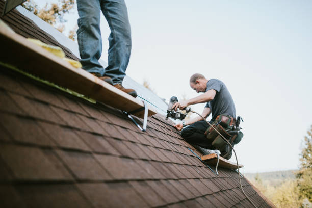 Best Roof Leak Repair  in Gallipolis, OH